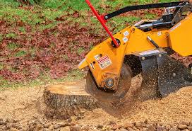 Lawn Drainage Solutions in Homerville, GA